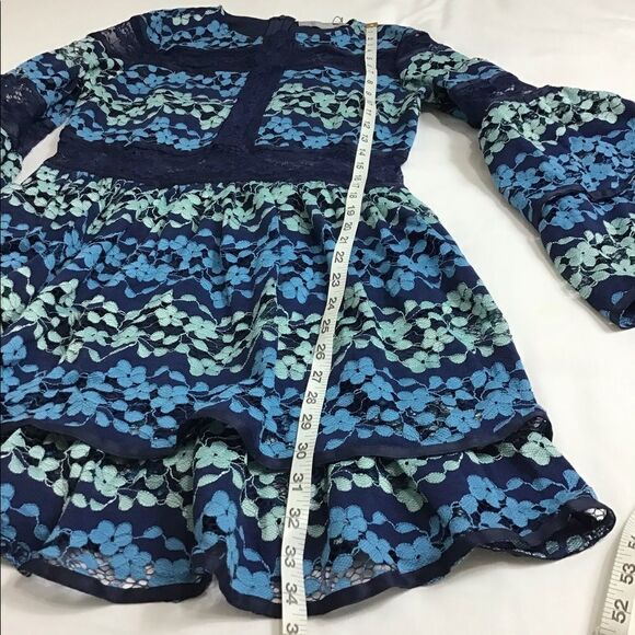 Dolly & Delicious Embroidered Lace Skater Dress - Picture 4 of 11